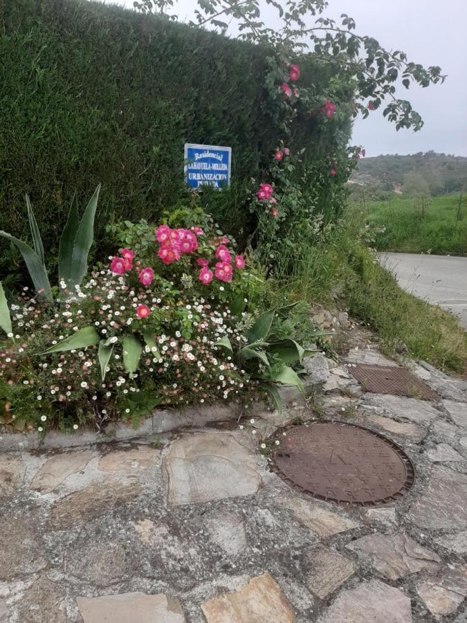 فيلا Casa La Hayuela Molleda المظهر الخارجي الصورة
